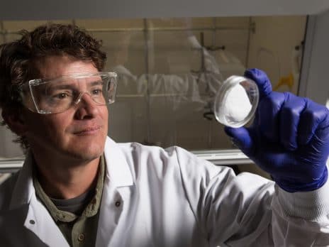 Dr. Nieto working in the lab at nau in flagstaff