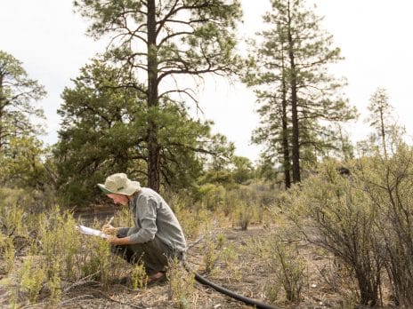 Student recording data in the field.