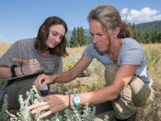 Dr. Haubensak and student doing field work