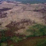 Mapping and Modeling Attributes of an Arctic-Boreal Biome Shift
