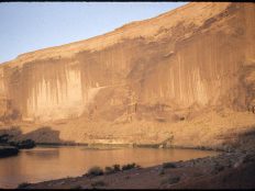 Tapestry Wall at Warm Springs Creek, Glen Canyon