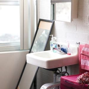 reilly female traditional room sink and mirror