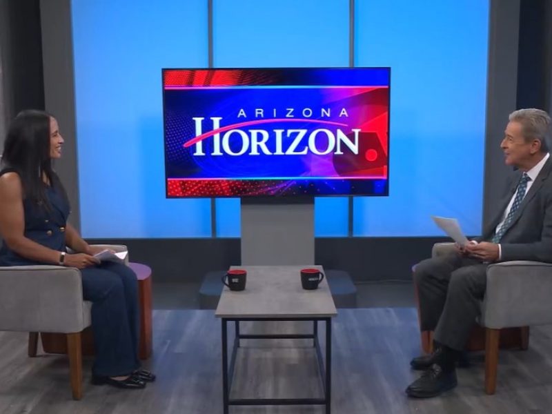 Dr. Janina Johnson being interviewed on P B S.