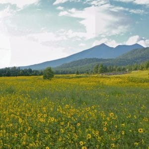 nau's colorado plateau research facility