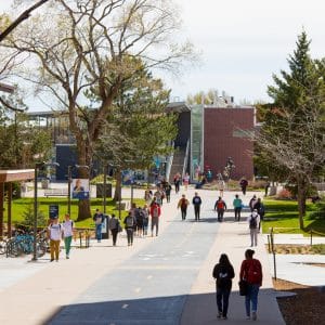 Environmental Sciences and Sustainability Studies alumni