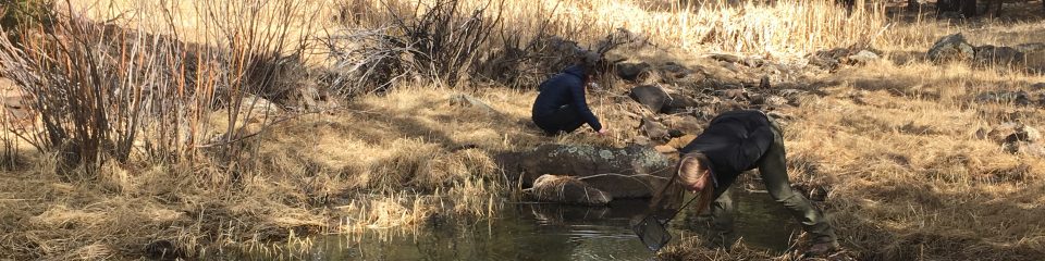 nau professor and students study water ecology