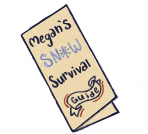 Snow Survival Guide