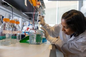 Archana Varadaraj is adding solution to a test tube and is leaning over toward it. She is wearing a white lab coat and white rubber gloves. She has short, straight dark hair and is smiling.