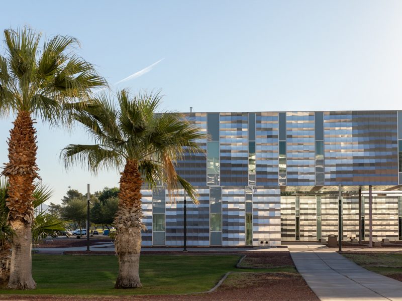 N A U–Yuma building with a line of small palm trees along the path to the front.
