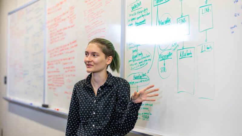 N A U–Yuma student explaining an answer at the whiteboard during a genetics lecture.