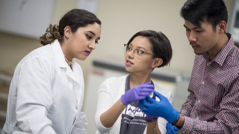 Bio students in a N A U–Yuma genetics lab.