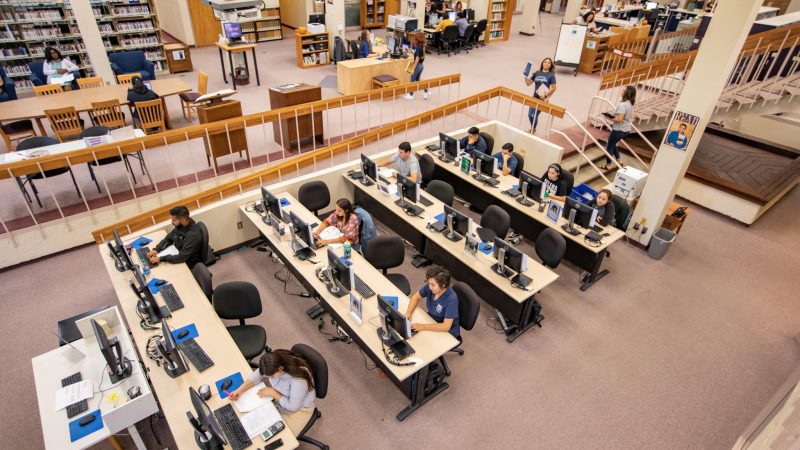Students work at the N A U–Yuma library.