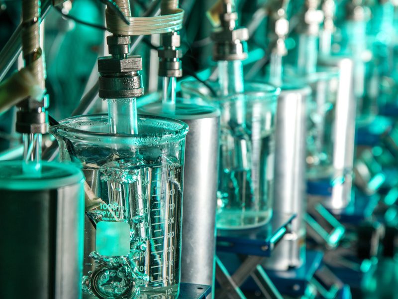 Beakers during a chemistry experiment.