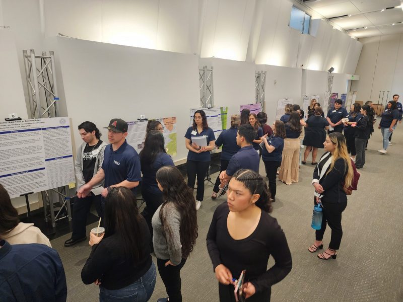 Students at N A U–Yuma share their research with fellow students and professors.