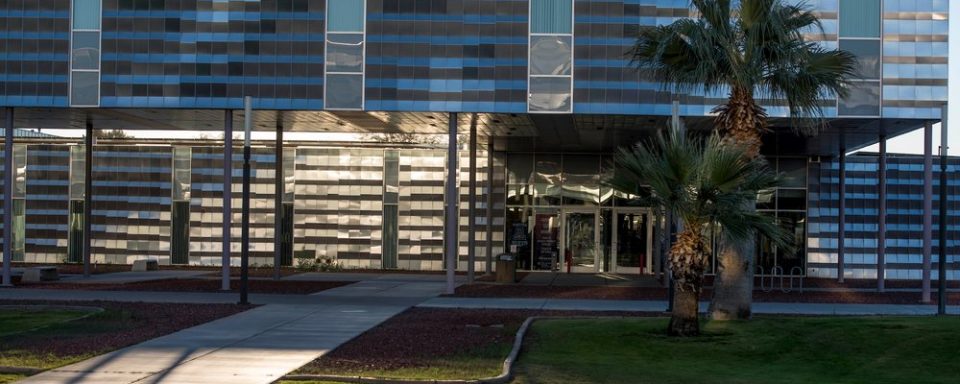 NAU–Yuma building with palm tree in front.